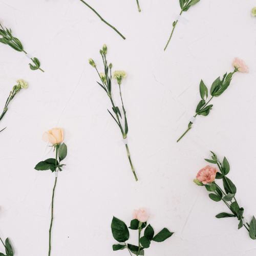 Flower Art