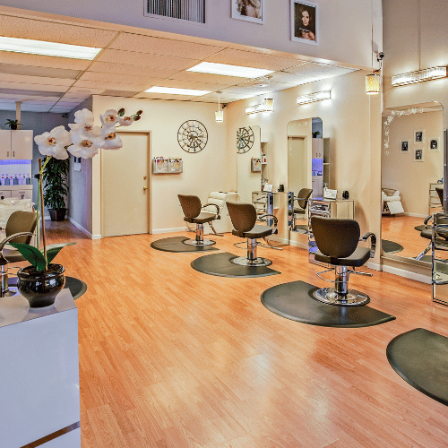 Salon Management